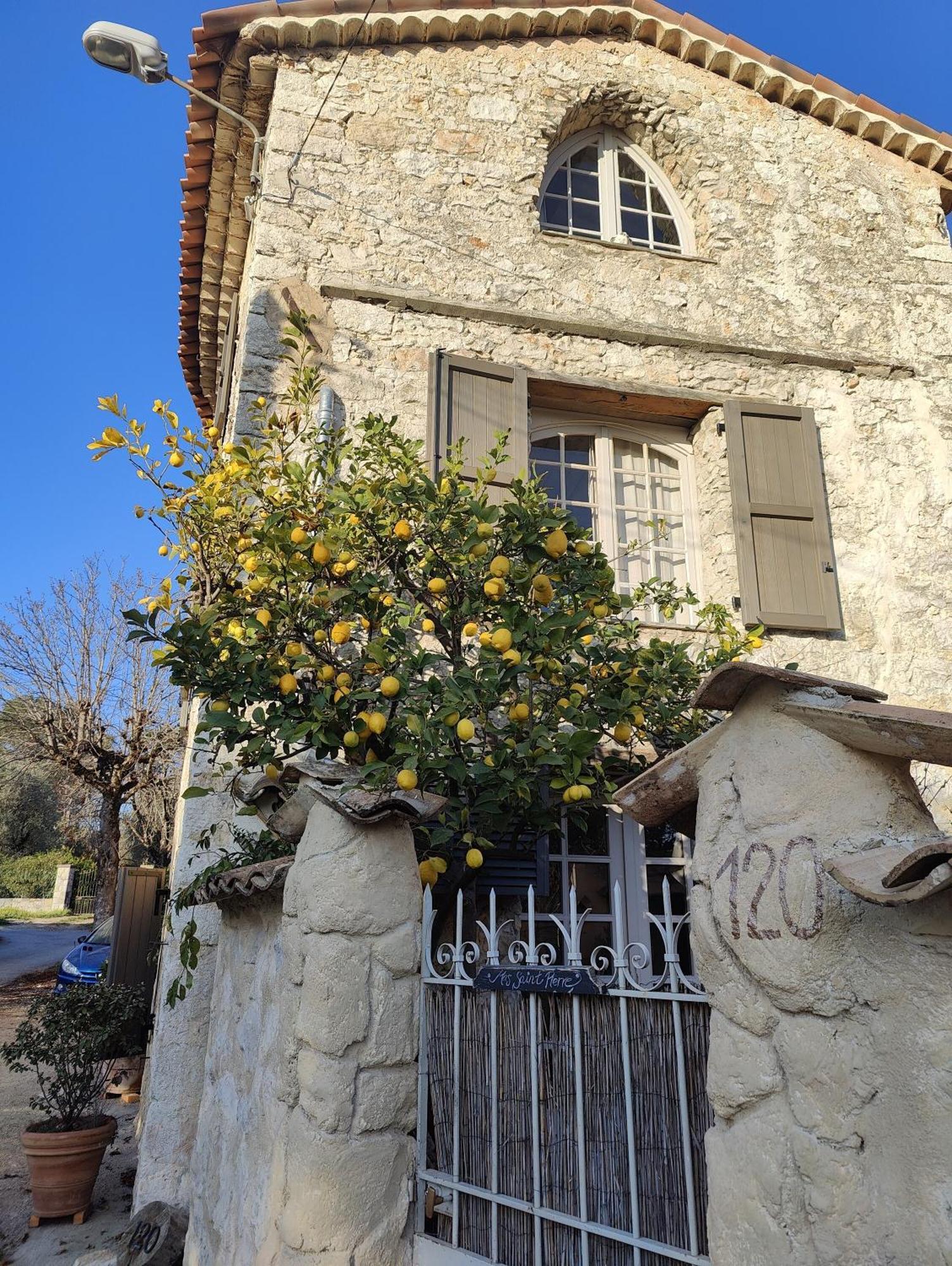 Le Mas Saint Pierre Roquefort-les-Pins Extérieur photo