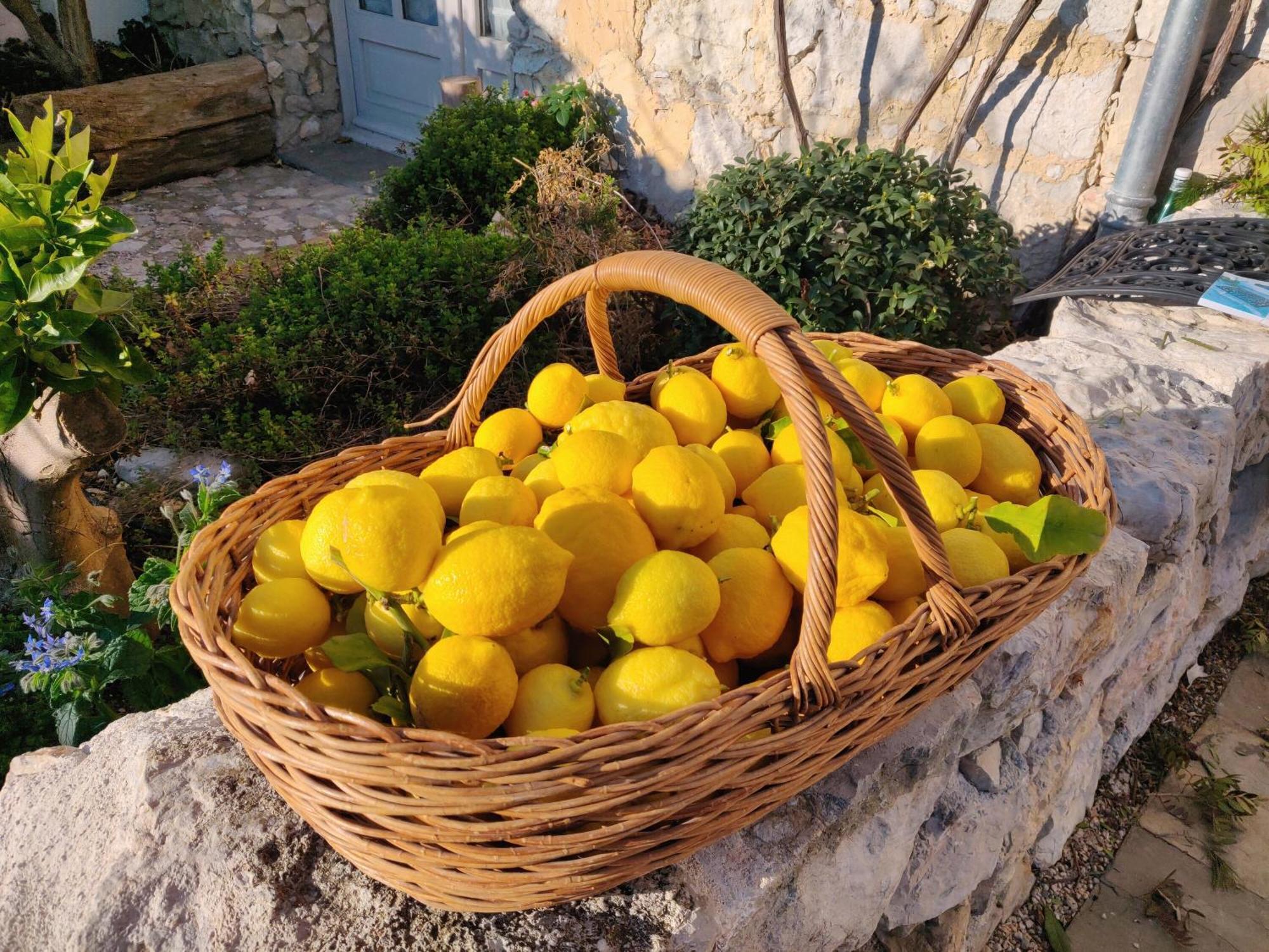 Le Mas Saint Pierre Roquefort-les-Pins Extérieur photo